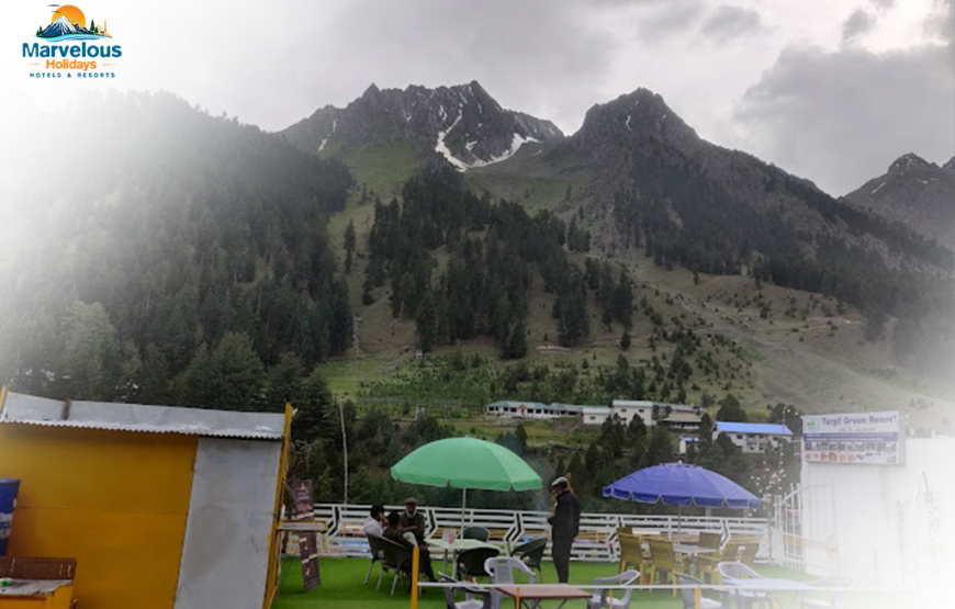 Turgil Green Resort (Naltar Valley)