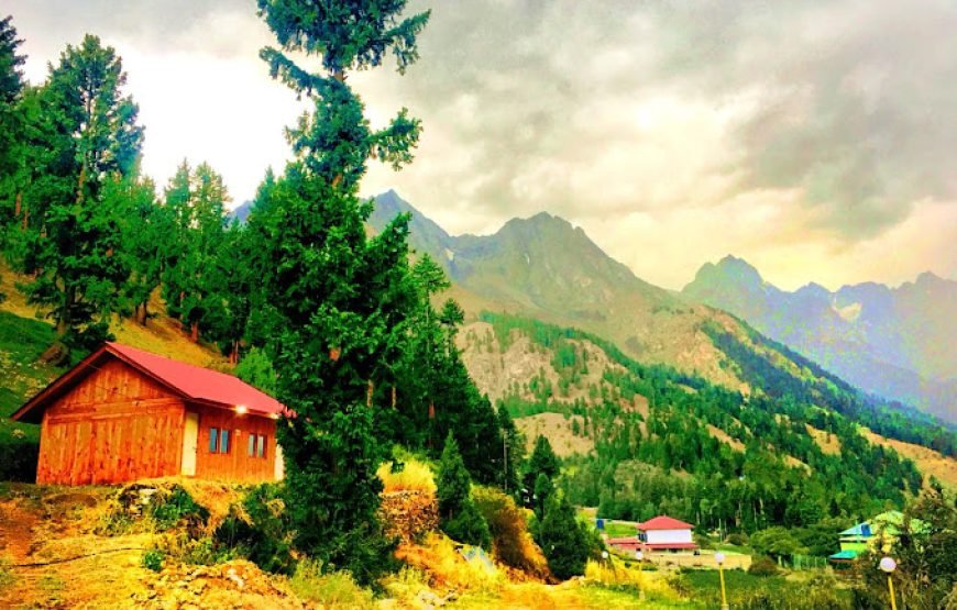 Strawberry Huts (Naltar Valley)