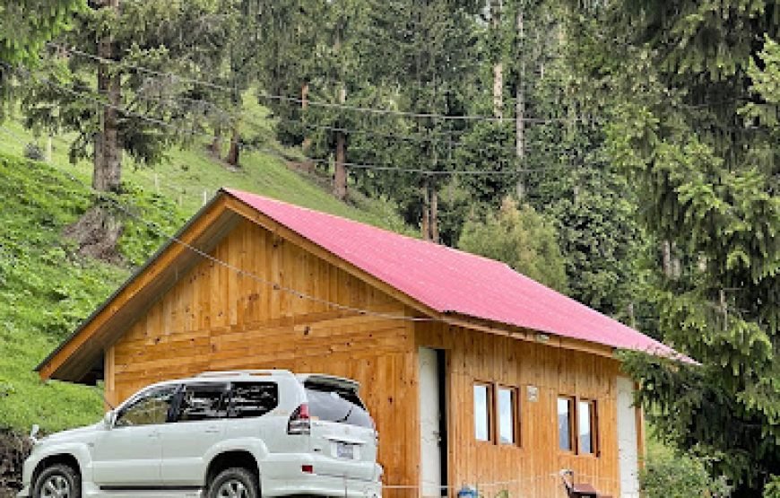 Strawberry Huts (Naltar Valley)