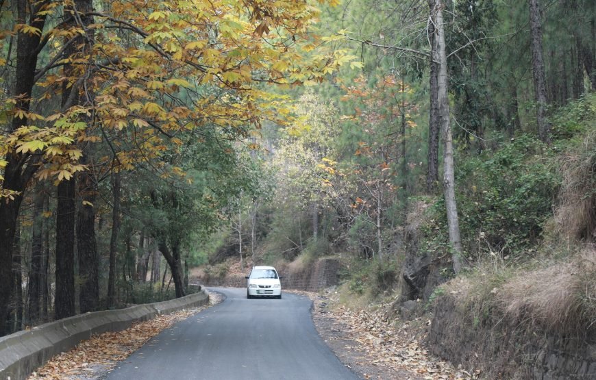 Nizalia Hotel (Patriata, New Muree)