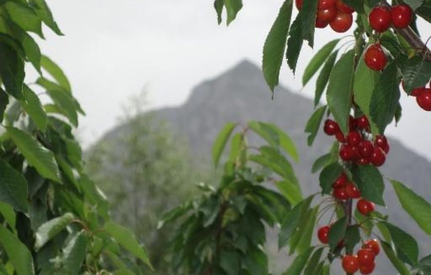 Alpen Hotel, Skardu